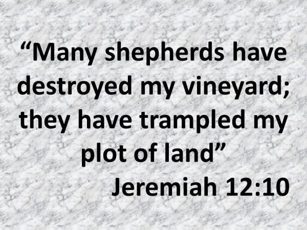 False Prophets: Many shepherds have destroyed my vineyard; they have trampled my plot of land. Jeremiah 12:10